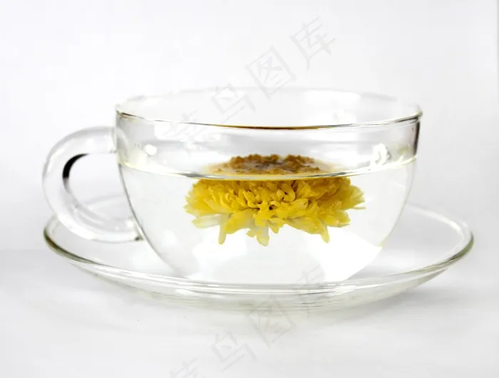杯，茶，菊花茶