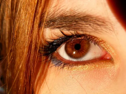 布朗,棕色的眼睛,虹膜,基因,光,眼,着色 布朗,棕色的眼睛,虹膜,基因,光,眼,着色