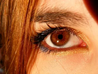 布朗，棕色的眼睛，虹膜，基因，光，眼，着色