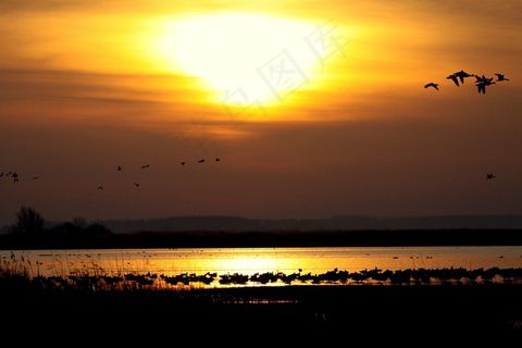 太阳，日落，风景，水