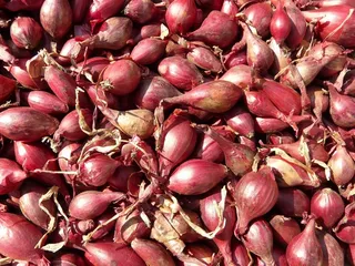 红色青葱，青葱，贵族洋葱，洋葱，锋利的