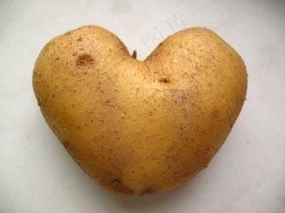 马铃薯，蔬菜，有机，天然，生产，健康