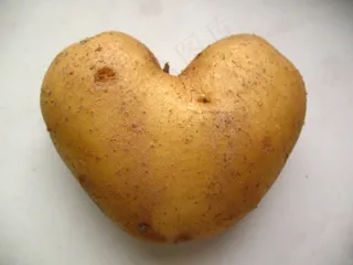 马铃薯，蔬菜，有机，天然，生产，健康