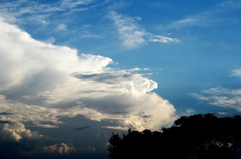 云,银行,白色,固体,天空,蓝色,树木 云,银行,白色,固体,天空,蓝色,树木