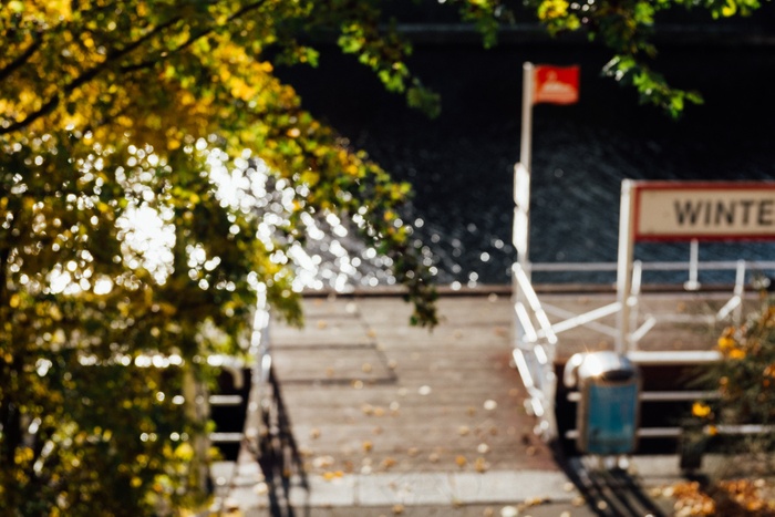 树,街道,轿车,路灯/街灯,建筑,秋天的码头模糊