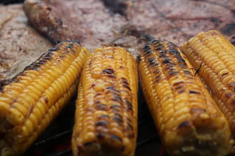 烧烤，肉，玉米，凉席，好，节日，饿