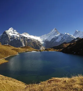 Lauteraarhorn，Bachalpsee，Wetterhorn，Schreckhorn