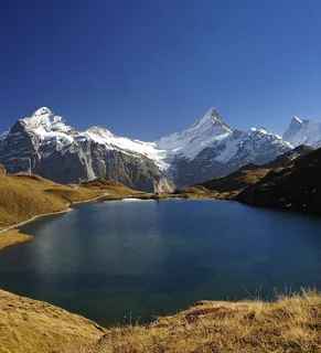 Lauteraarhorn,Bachalpsee,Wetterhorn,Schreckhorn Lauteraarhorn,Bachalpsee,Wetterhorn,Schreckhorn