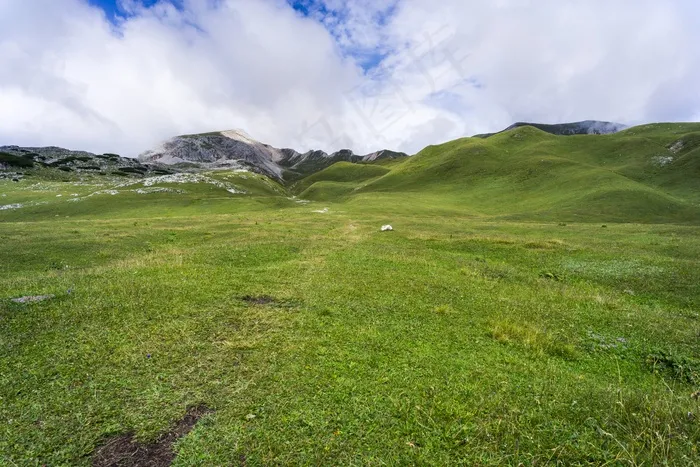 草地，丘陵，高地，景​​观，自然，绿色
