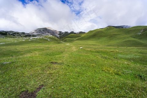 草地，丘陵，高地，景​​观，自然，绿色