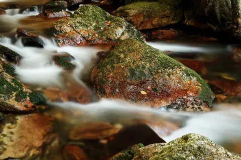 山峦,蘑菇,鸟类,工艺品,手,岩石中的溪 山峦,蘑菇,鸟类,工艺品,手,岩石中的溪