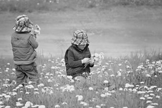 摘花，儿童，草地，花草甸，自然