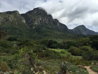 山，Kirstenbosch，植物园，南，非洲