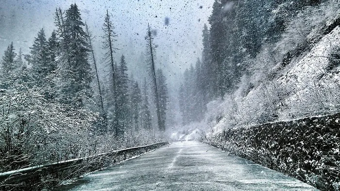 冬天，大雪，道路，雪