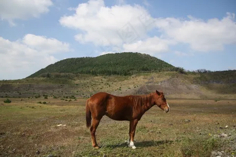 马,提升,云,山,天空,景观 马,提升,云,山,天空,景观