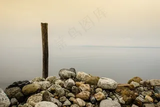 工艺品,石头,海洋,盆栽植物,花卉,木海海洋岩石