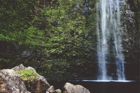 瀑布，级联，流动，景区，水，户外