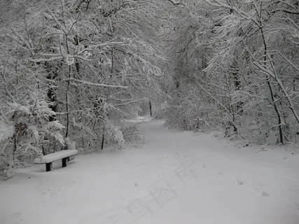 冬季,雪,寒冬,白,森林,自然 冬季,雪,寒冬,白,森林,自然