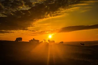 太阳，绵羊，云