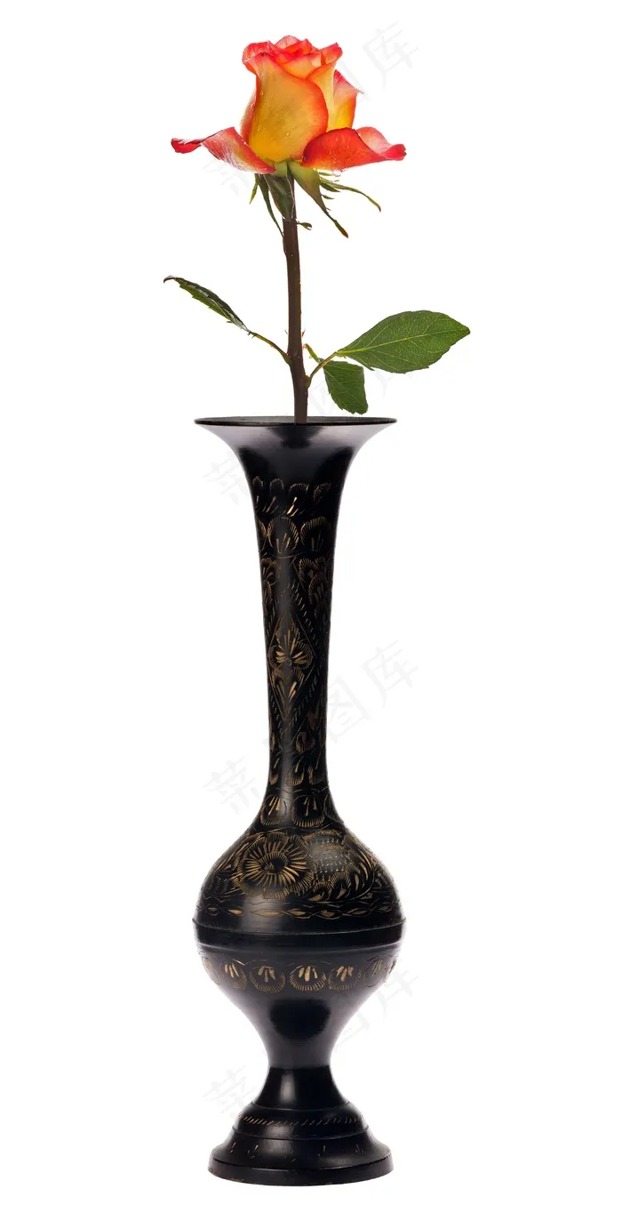 玫瑰，花，植物，自然，花的，开花，花瓶