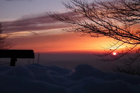 晚上,雪,冬天,景观,日落,树 晚上,雪,冬天,景观,日落,树