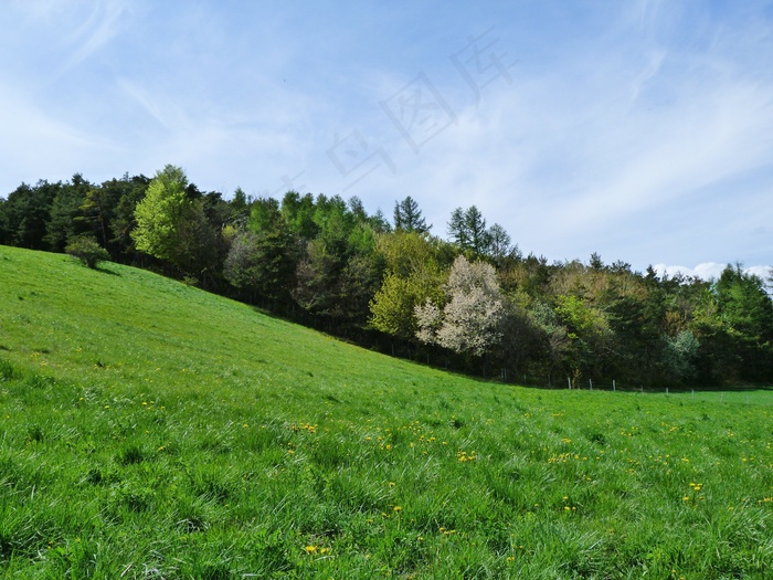 景观，自然，高山牧场，丘陵，田野