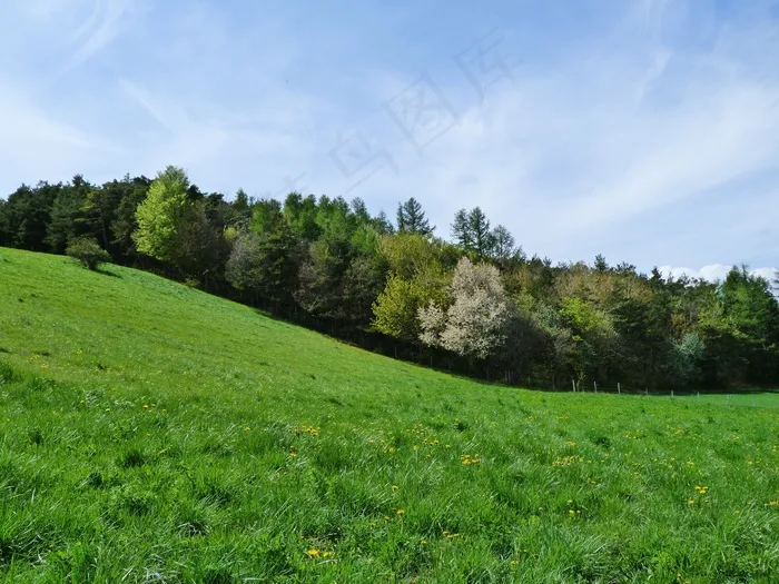 景观，自然，高山牧场，丘陵，田野