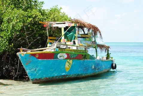 伯利兹,Caye Caulker,龙涎香,中美洲,岛 伯利兹,Caye Caulker,龙涎香,中美洲,岛