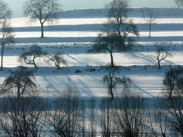 冬季，雪，寒冬，白色，雪域，树木，冬季梦想