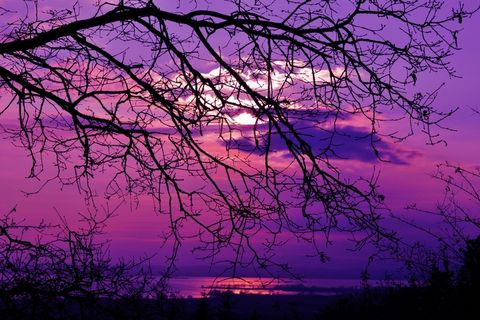 紫色日落，紫罗兰色，日落，景观，自然