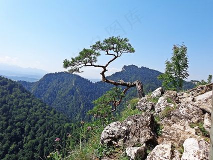 山，景观，径，方式，全景，自然