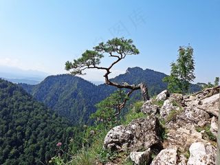 山，景观，径，方式，全景，自然