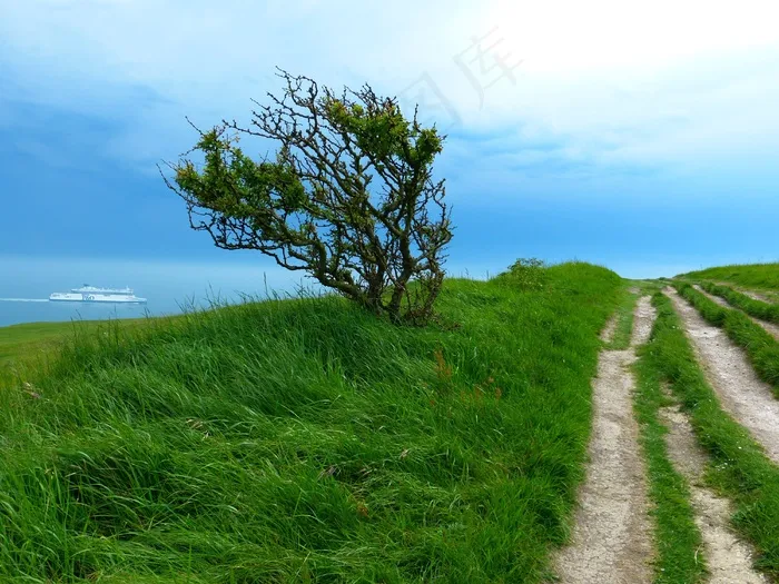 离，路径，远足，径，性质，水，沧海，树