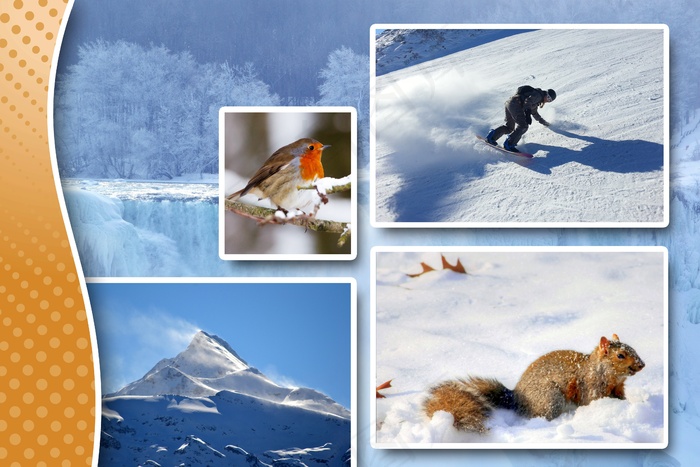 冬天，一年中的时间，装饰，金，模切，hack