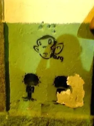 锁,柔性接头,门,搭扣,卡通动漫人物,里约猴子