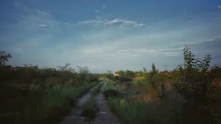 路径，径，道路，远足，跟随，自然，森林