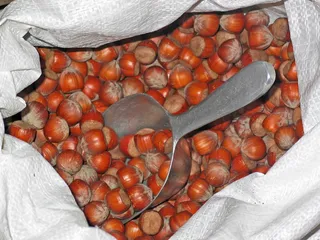 榛子，坚果，食品，棕色，美味，吃，薄壳