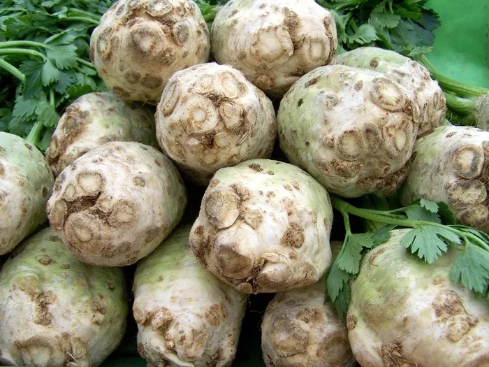 芹菜，蔬菜，食品