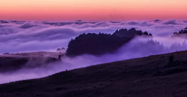 天空云，雾，黎明，景观，天空，雾，早上，秋
