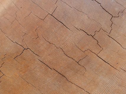 木，木材，树，自然，森林，木制，设计