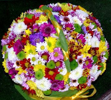 雏菊，春天的花朵，甲板，多彩，鲜花，工艺