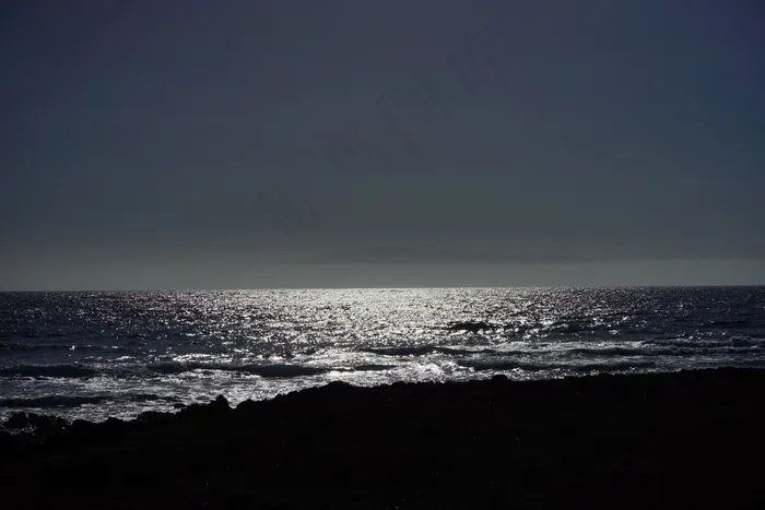 海，海洋，背光，岛，爬行动物，海滩