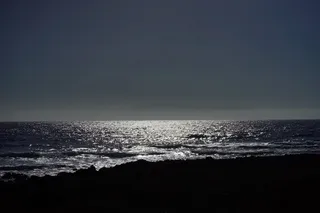 海，海洋，背光，岛，爬行动物，海滩