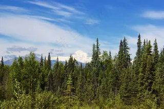 树,天空,风景,山峦,自然风景,森林和天空与云彩