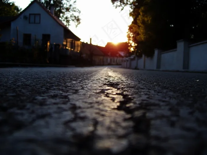 路径，太阳，西，线，树，夏天，日落，景观