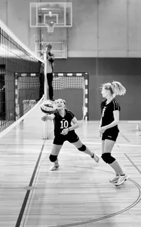 排球，体育，球，播放，比赛，年轻