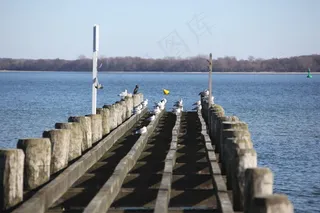 网，湖，水，桥