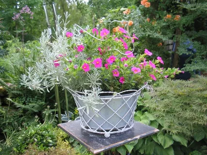 表，安排，鲜花，花园，颜色，绿色