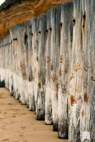 防波堤，波兰人，海滩，木材，Anglesea，维多利亚