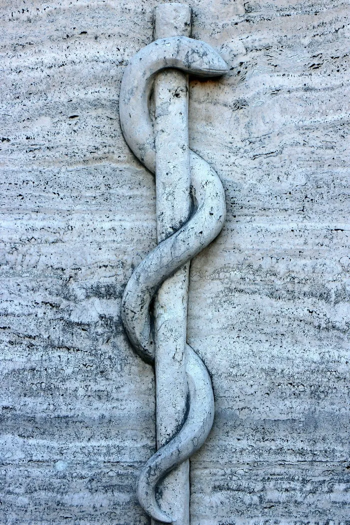 浮雕，符号，杆，蛇，Äskulapstab